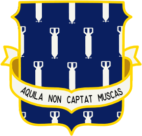 304th Virtual Fighter Wing